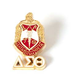 Delta Sigma Theta Sorority 3D Color Shield Pin w/ Letters