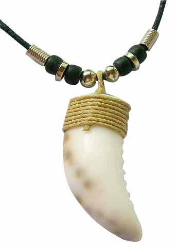 Shark Tooth Necklace